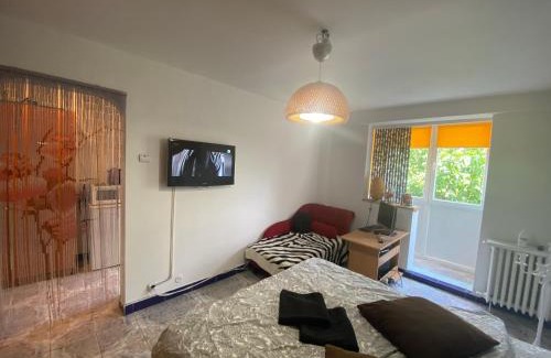 Sector 4 Apartment | Piata Resita Host