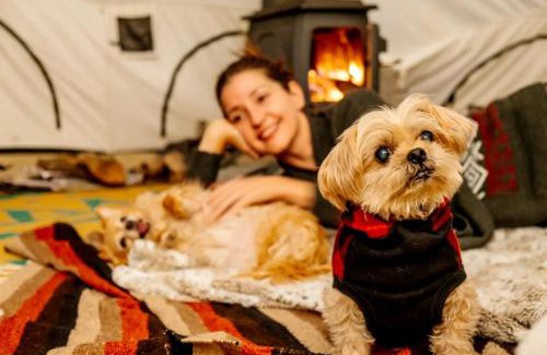Petersburgh Other | Piebald Mountain Pet Friendly Tents, Petersburg, New York