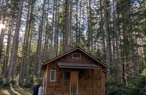 Langley Cabin | Pine Guest Cabin in the Woods