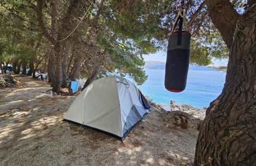 Himare Other | Pine Side Camp