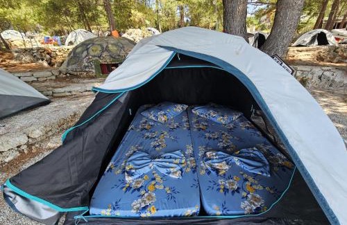 Himare Other | Pine Side Camp