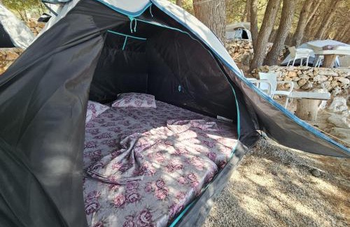 Himare Other | Pine Side Camp