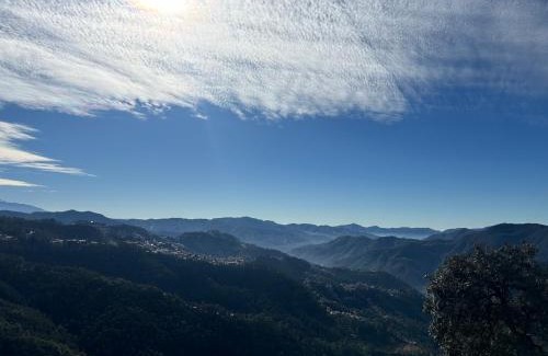 Shimla Bed & Breakfast | Pine Ville Shimla