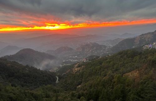 Shimla Bed & Breakfast | Pine Ville Shimla