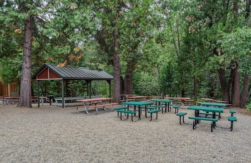 Arnold Ski Chalet | Pinebrook Chalet-Upscale Relaxation-Walk to Pinebrook Lake-drive to Bear Valley