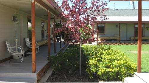 Pinedale Hotel | Pinedale Cozy Cabins