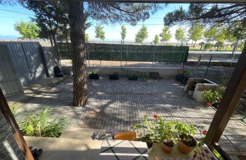 Velipoje House | Pinehouse Velipoja