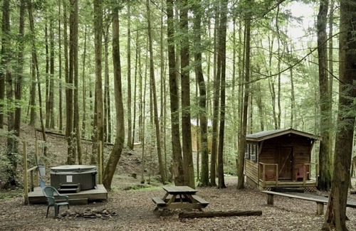 Ellijay Cabin | PINHOTI WAY Private Solo Cabin at Mulberry Gap - Right on the Pinhoti Trail!