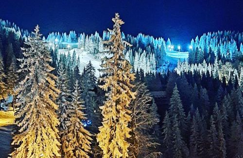 Jahorina Apartment | Pino apartman Jahorina