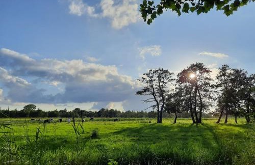 Augustinusga Bed & Breakfast | Pipowagen 't Strunerke