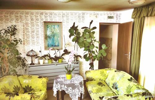 Heviz House | Piroska Villa
