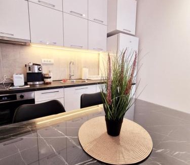 Pirot Apartment | Pirotski amanet
