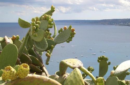 Uggiano la Chiesa Bed & Breakfast | Pizzicati Bed and Breakfast