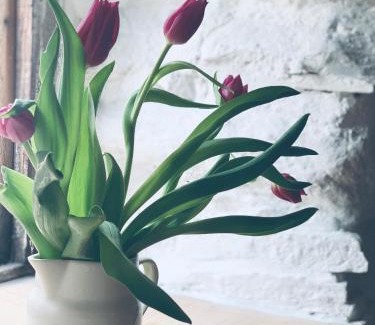Lochearnhead Bed & Breakfast | Place of architectural interest The Croft