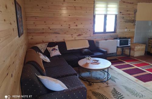 Kremna House | Planinska etno kuca Tara