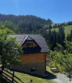 Bajina Basta House | Planinska koliba Dada