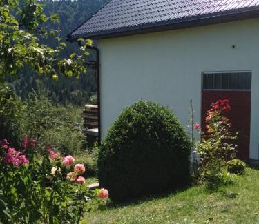 East Sarajevo House | Planinska kuća ,Furtula" Jahorina