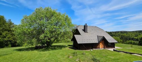 Bajina Basta Ski Chalet | Planinska kuća Nemanja