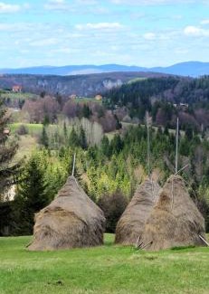 Bajina Basta Ski Chalet | Planinska kuća Nemanja