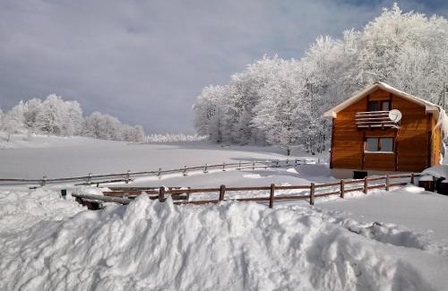 Kremna House | Planinska kuća Petrović