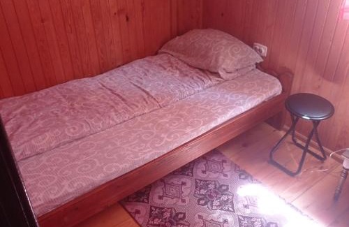 Tara National Park House | Planinska kuca Beli bor