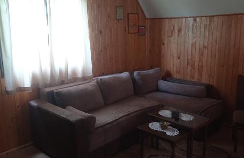 Tara National Park House | Planinska kuca Beli bor