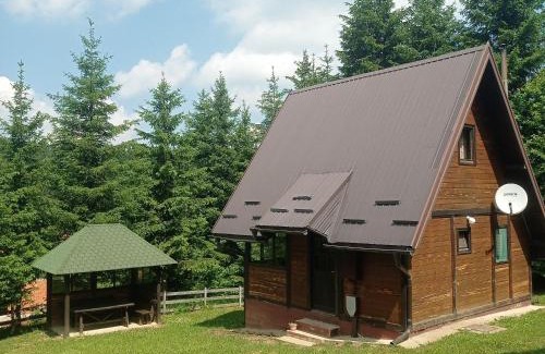 Tara National Park House | Planinska kuca Beli bor