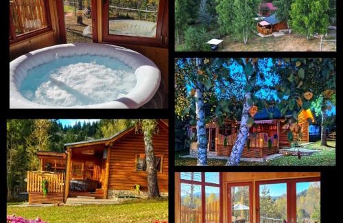 Sokolac Ski Chalet | Planinska kuca Ella