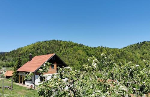 Bajina Basta Apartment | Planinski Mir