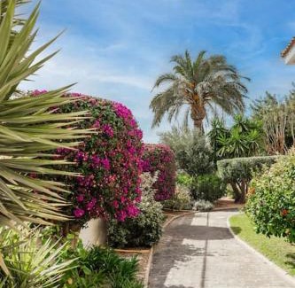 Los Arenales del Sol Villa | Playa Carabassi Villa