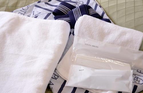 Hita Hotel | Plaza Hotel Fujinoi