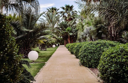 Downtown San Antonio Hotel | Plaza San Antonio Hotel & Spa, Autograph Collection
