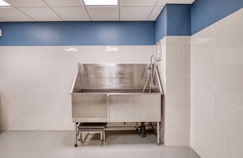 Bay Village Apartment | Pleasant Back Bay 1BR w/Gym, W/D & Basketball, nr T, by Blueground