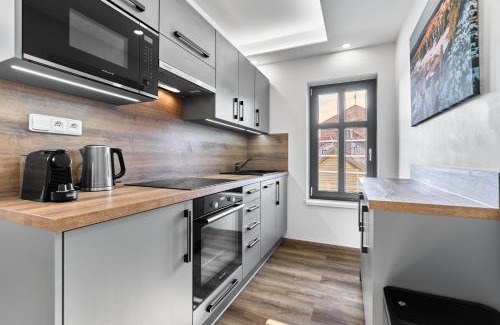 Abertamy Apartment | Plešivec View by Mountain ways