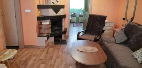 Rokytnice v Orlickych Horach Apartment | Plně vybavený 2+1byt s balkonem a kójí pro kola a lyže.