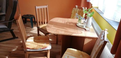 Rokytnice v Orlickych Horach Apartment | Plně vybavený 2+1byt s balkonem a kójí pro kola a lyže.