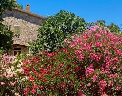 Manciano Apartment | Podere Ainzara