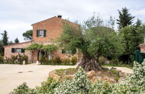 Montepulciano Apartment | Podere Casanova & Wine Experience - Montepulciano