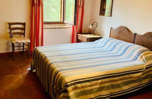 Castel del Piano Bed & Breakfast | Podere Pinzicalari