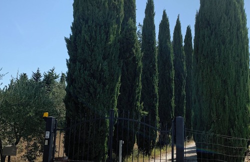 Castellina in Chianti Apartment | Poggetto in Chianti Classico - Apartment Melo