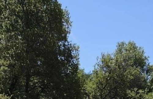 Coulterville RV Rental | Point Skyfall