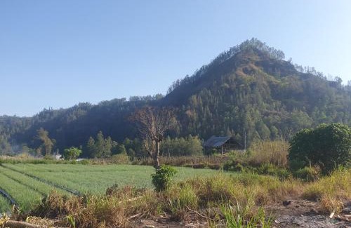 Songan Cabin | Polege Side Cottage and Jeep tour