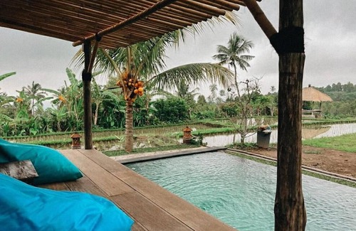 Sukasada Cabin | Pondok Apsari 2