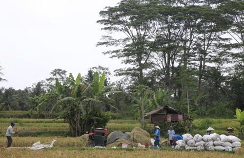 Melayang House | Pondok Gepokan Homestay