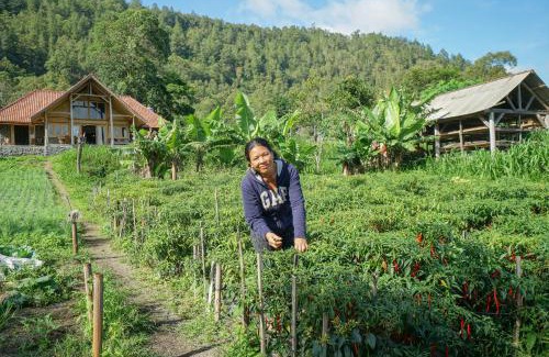 Kintamani Resort | Pondok Manoka