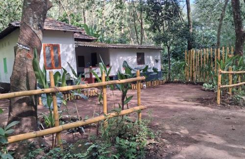 Irinjalakuda House | Pookie stay athirapilly