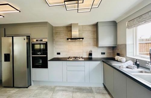 Colchester House | Poppies