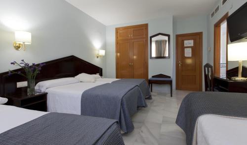 Central District Hotel | Porcel Navas