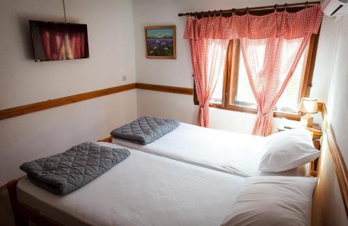 Stara Planina Apartment | Porodična kuća Vitina Iža