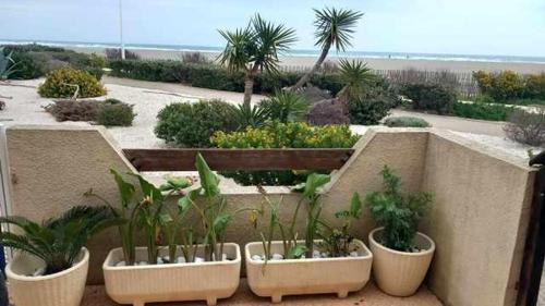 Leucate Apartment | Port Leucate F2 rdc plage 10 mètres, 25 m2, 5 personnes